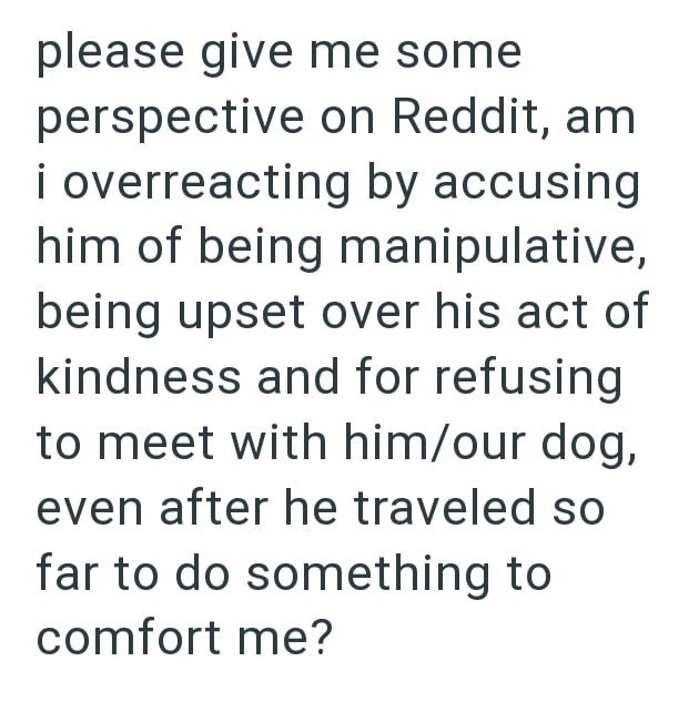 please give me some perspective on Reddit, am i overreacting by accusing him of being manipulative, being upset over his act of kindness and for refusing to meet with him/our dog, even after he traveled so far to do something to comfort me?