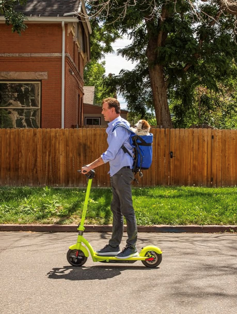 Cheezburger Image 10615219968