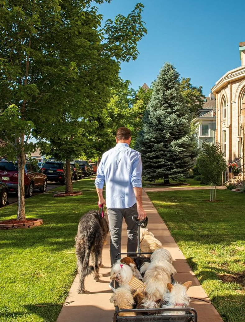 Cheezburger Image 10615221248