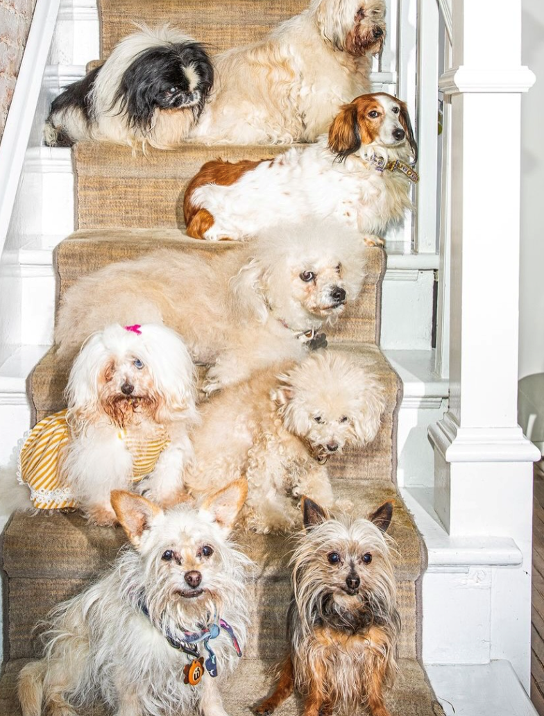 Cheezburger Image 10615221760