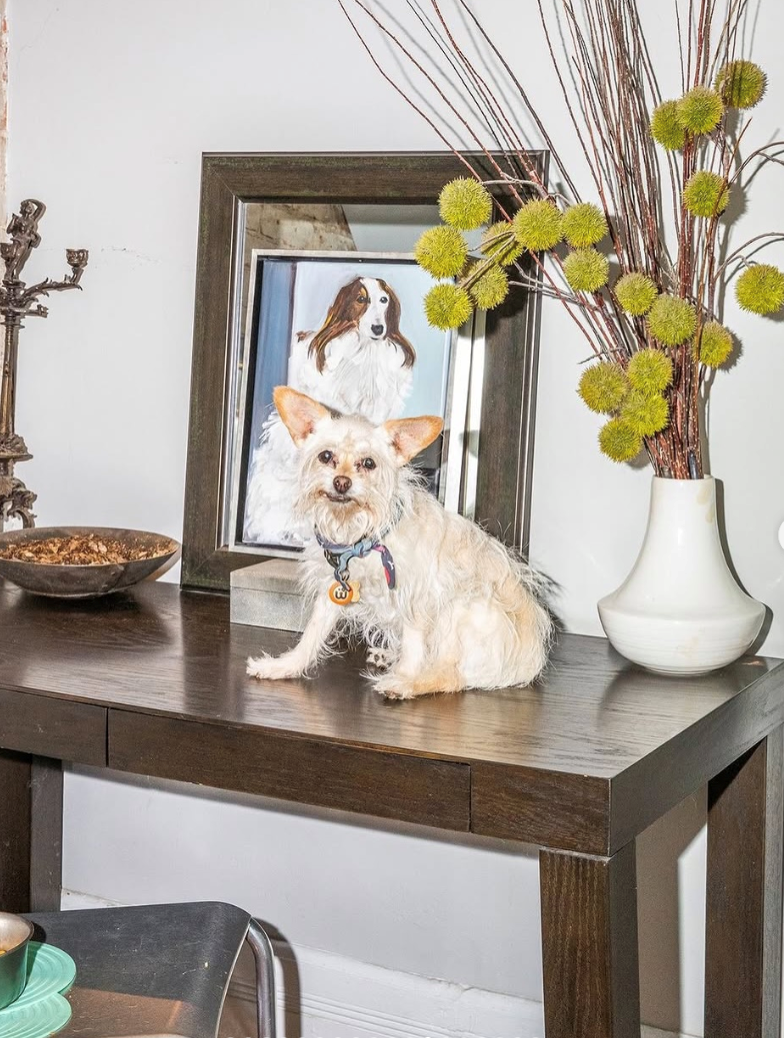 Cheezburger Image 10615222784