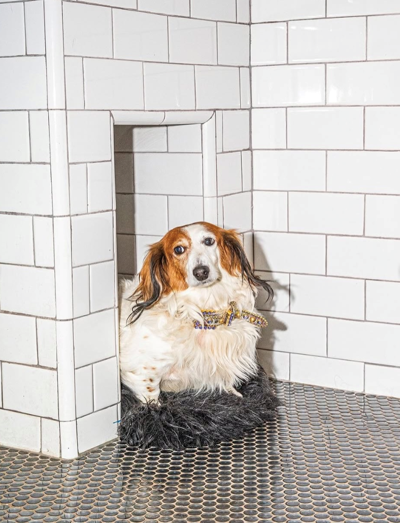 Cheezburger Image 10615223808