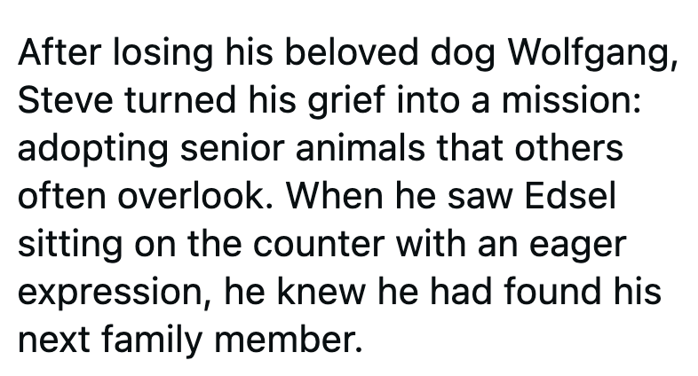 After losing his beloved dog Wolfgang, Steve turned his grief into a mission: adopting senior animals that others often overlook. When he saw Edsel sitting on the counter with an eager expression, he knew he had found his next family member.