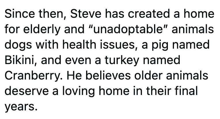 Since then, Steve has created a home for elderly and "unadoptable" animals dogs with health issues, a pig named Bikini, and even a turkey named Cranberry. He believes older animals deserve a loving home in their final years.