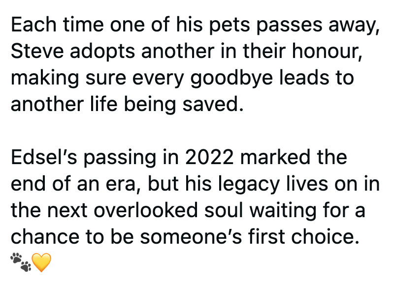 Each time one of his pets passes away, Steve adopts another in their honour, making sure every goodbye leads to another life being saved. Edsel's passing in 2022 marked the end of an era, but his legacy lives on in the next overlooked soul waiting for a chance to be someone's first choice.