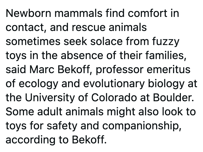 Newborn mammals find comfort in contact, and rescue animals sometimes seek solace from fuzzy toys in the absence of their families, said Marc Bekoff, professor emeritus of ecology and evolutionary biology at the University of Colorado at Boulder. Some adult animals might also look to toys for safety and companionship, according to Bekoff.