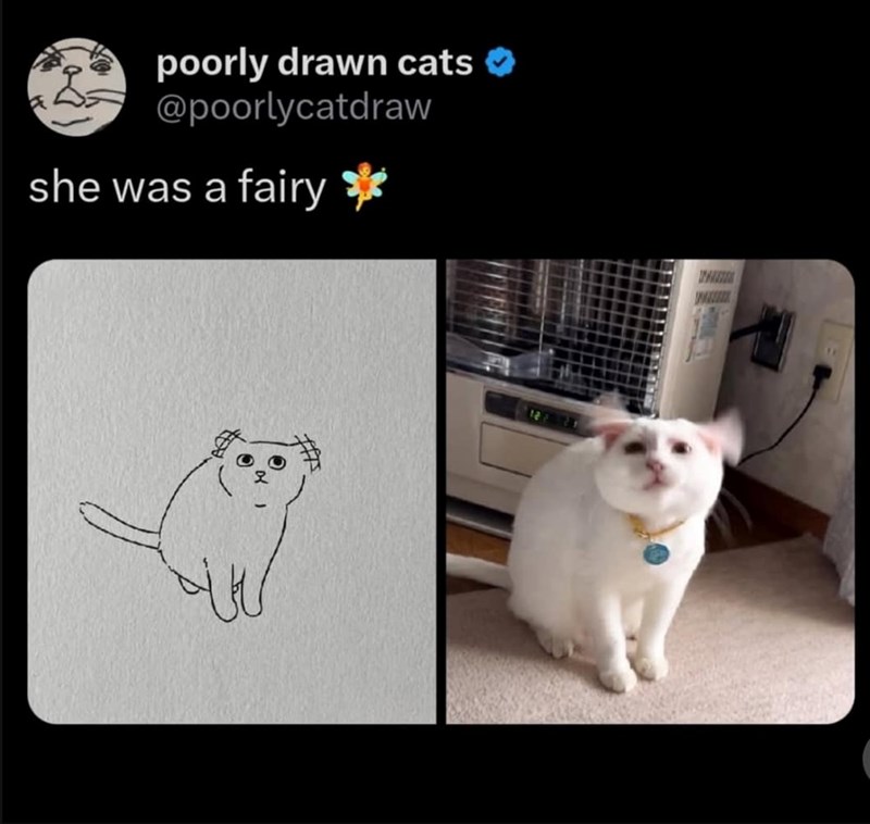 poorly drawn cats @poorlycatdraw she was a fairy *** WW