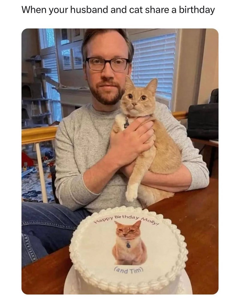 When your husband and cat share a birthday Happy Birthday Molly! (and Tim)