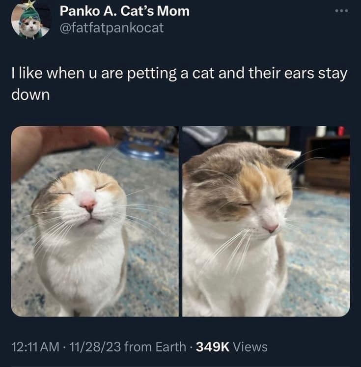 Panko A. Cat's Mom @fatfatpankocat I like when u are petting a cat and their ears stay down 12:11 AM 11/28/23 from Earth 349K Views .