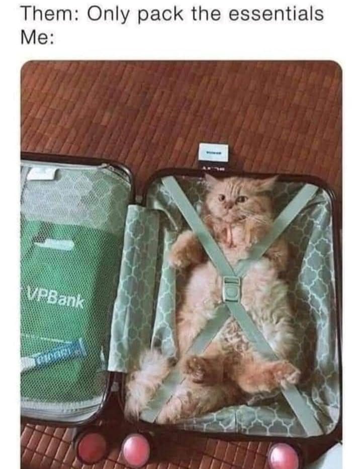 Them: Only pack the essentials Me: VPBank