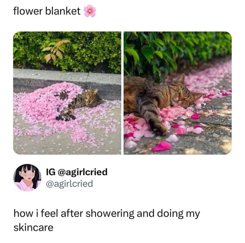 flower blanket IG @agirlcried @agirlcried how i feel after showering and doing my skincare