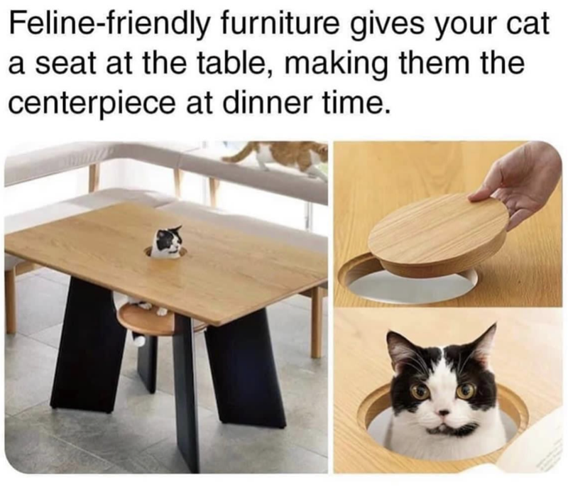 Feline-friendly furniture gives your cat a seat at the table, making them the centerpiece at dinner time.