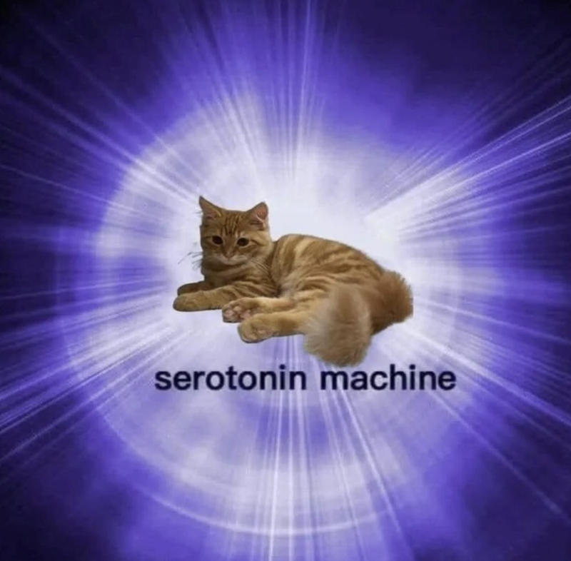 serotonin machine
