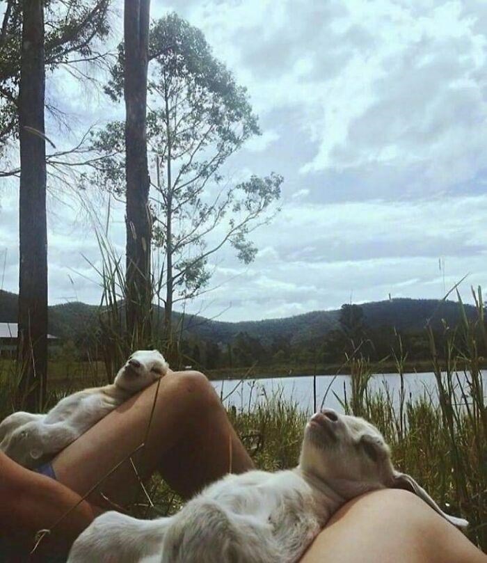 Cheezburger Image 10615236864