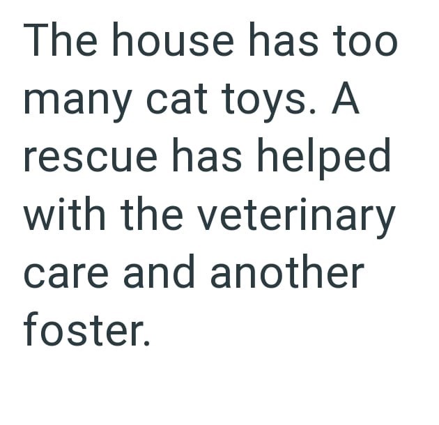 The house has too many cat toys. A rescue has helped with the veterinary care and another foster.