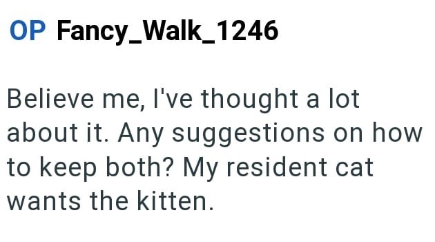 OP Fancy_Walk_1246 Believe me, I've thought a lot about it. Any suggestions on how to keep both? My resident cat wants the kitten.