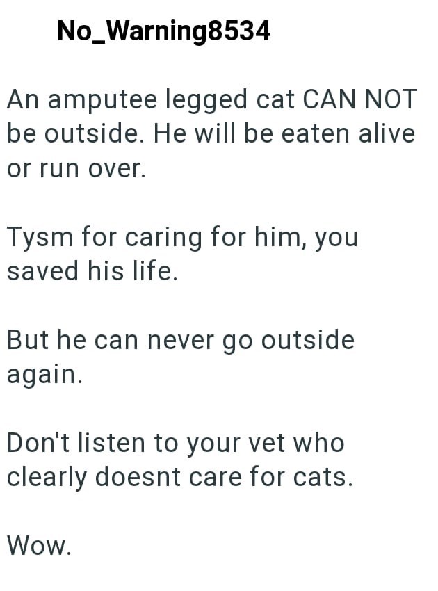 No_Warning8534 An amputee legged cat CAN NOT be outside. He will be eaten alive or run over. Tysm for caring for him, you saved his life. But he can never go outside again. Don't listen to your vet who clearly doesnt care for cats. Wow.