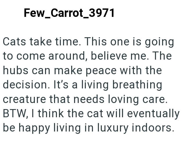 Few_Carrot_3971 Cats take time. This one is going to come around, believe me. The hubs can make peace with the decision. It's a living breathing creature that needs loving care. BTW, I think the cat will eventually be happy living in luxury indoors.