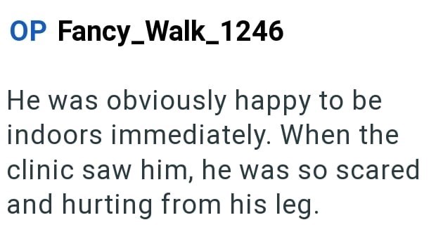 OP Fancy_Walk_1246 He was obviously happy to be indoors immediately. When the clinic saw him, he was so scared and hurting from his leg.
