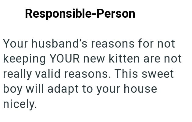 Responsible-Person Your husband's reasons for not keeping YOUR new kitten are not really valid reasons. This sweet boy will adapt to your house nicely.