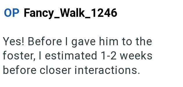 OP Fancy_Walk_1246 Yes! Before I gave him to the foster, I estimated 1-2 weeks before closer interactions.