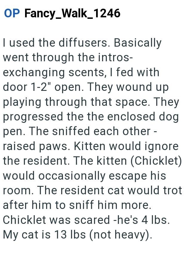 OP Fancy_Walk_1246 I used the diffusers. Basically went through the intros- exchanging scents, I fed with door 1-2" open. They wound up playing through that space. They progressed the the enclosed dog pen. The sniffed each other - raised paws. Kitten would ignore the resident. The kitten (Chicklet) would occasionally escape his room. The resident cat would trot after him to sniff him more. Chicklet was scared -he's 4 lbs. My cat is 13 lbs (not heavy).