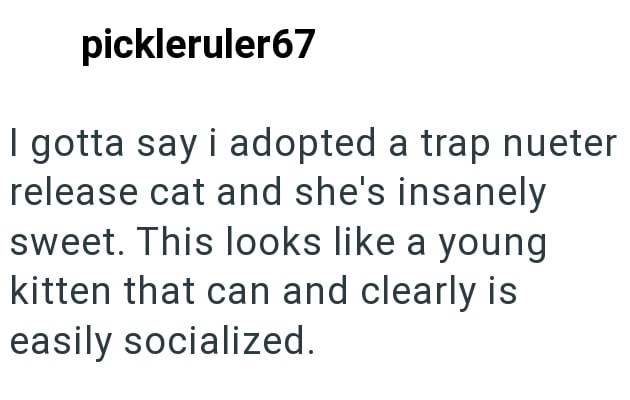 pickleruler67 I gotta say i adopted a trap nueter release cat and she's insanely sweet. This looks like a young kitten that can and clearly is easily socialized.