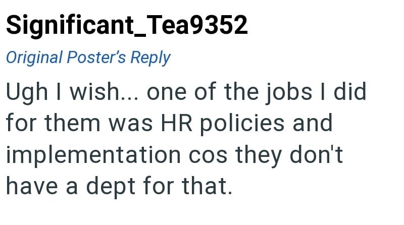 Significant_Tea9352 Original Poster's Reply Ugh I wish... one of the jobs I did for them was HR policies and implementation cos they don't have a dept for that.