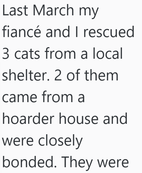 Last March my fiancé and I rescued 3 cats from a local shelter. 2 of them came from a hoarder house and were closely bonded. They were