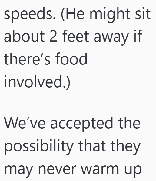 speeds. (He might sit about 2 feet away if there's food involved.) We've accepted the possibility that they may never warm up