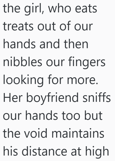 the girl, who eats treats out of our hands and then nibbles our fingers looking for more. Her boyfriend sniffs our hands too but the void maintains his distance at high