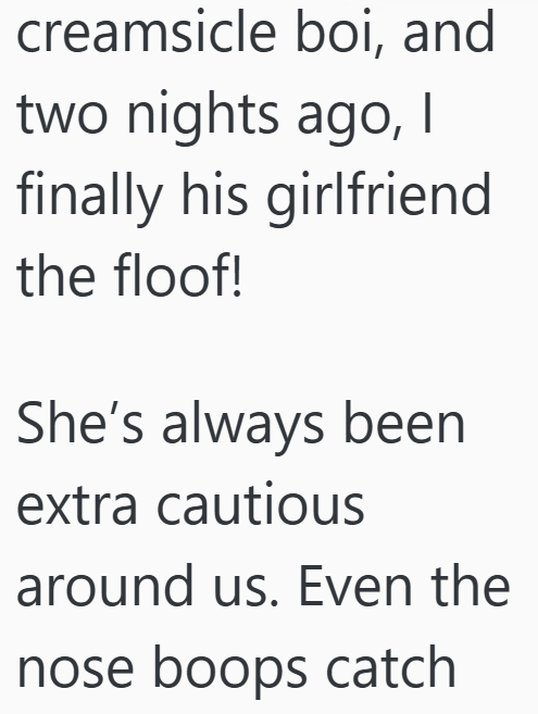 creamsicle boi, and two nights ago, I finally his girlfriend the floof! She's always been extra cautious around us. Even the nose boops catch