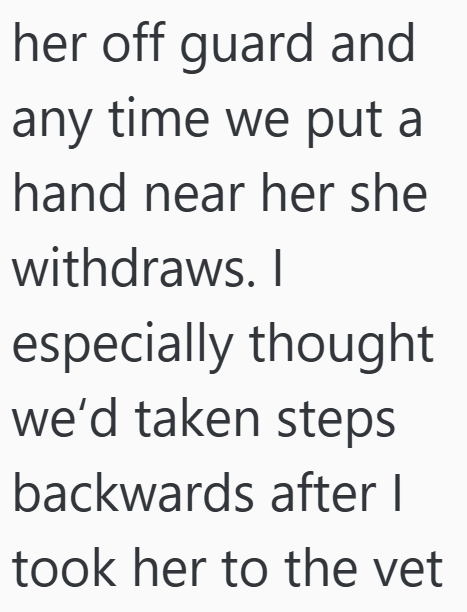 her off guard and any time we put a hand near her she withdraws. I especially thought we'd taken steps backwards after I took her to the vet