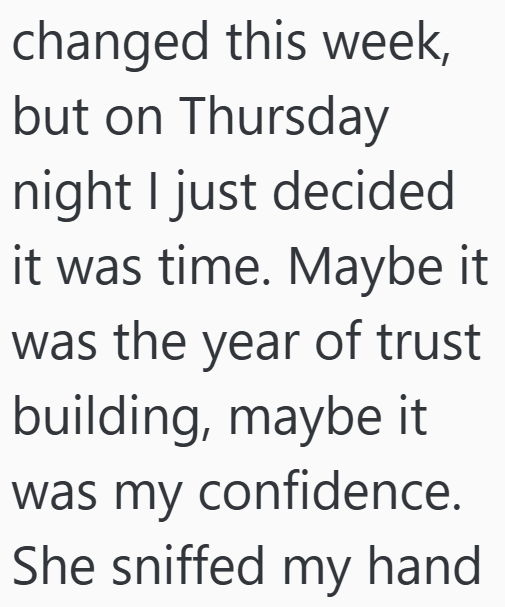 changed this week, but on Thursday night I just decided it was time. Maybe it was the year of trust building, maybe it was my confidence. She sniffed my hand