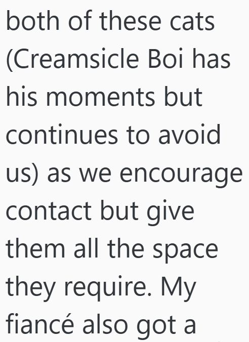 both of these cats (Creamsicle Boi has his moments but continues to avoid us) as we encourage contact but give them all the space they require. My fiancé also got a