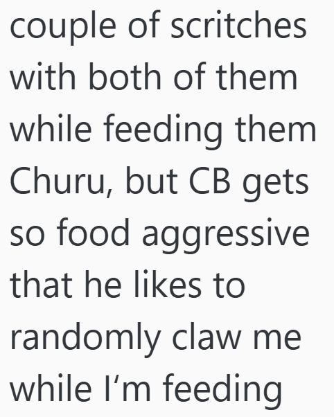 couple of scritches with both of them while feeding them Churu, but CB gets so food aggressive that he likes to randomly claw me while I'm feeding