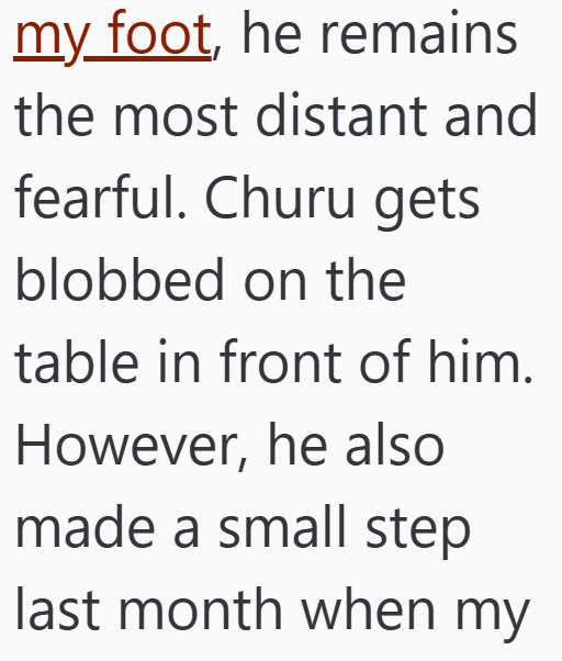 my foot, he remains the most distant and fearful. Churu gets blobbed on the table in front of him. However, he also made a small step last month when my