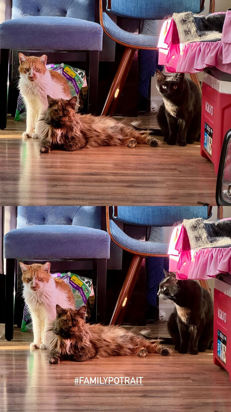 Absorba Absorba #FAMILYPOTRAIT 16:00 G600-> 16:00