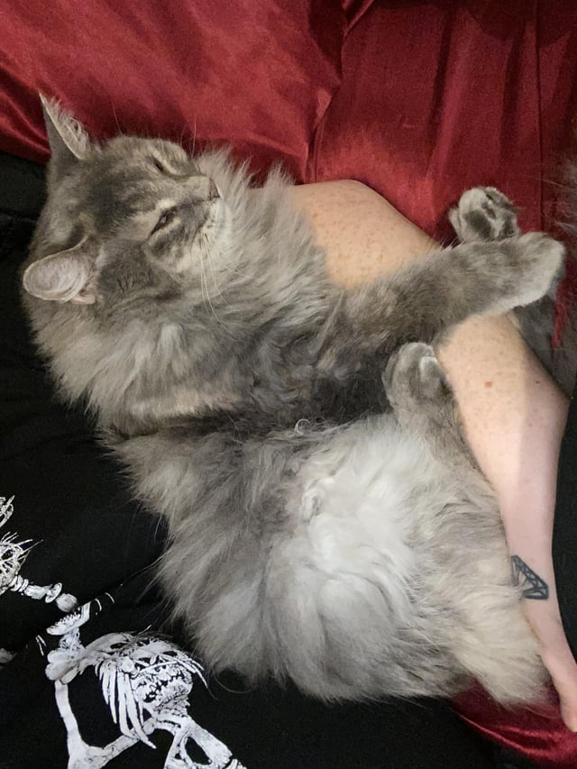 Cheezburger Image 10615270400