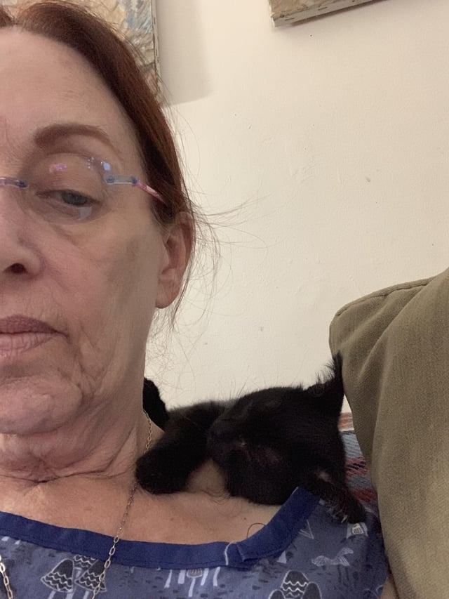 Cheezburger Image 10615270656