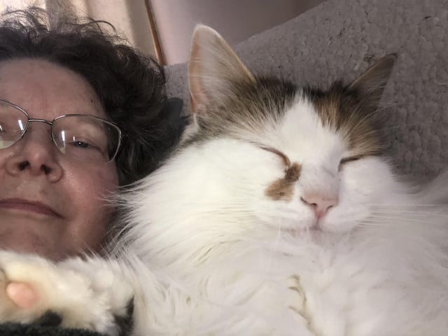 Cheezburger Image 10615270912