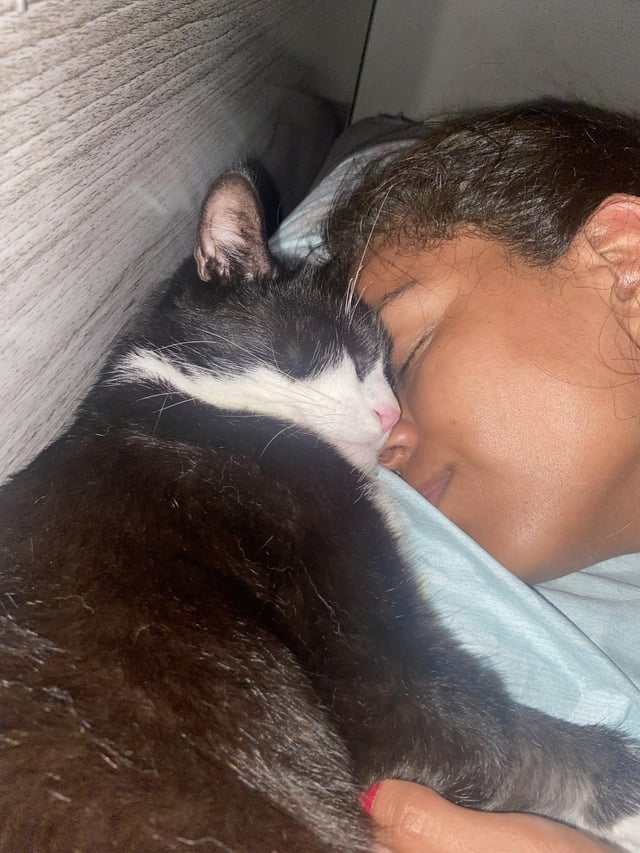 Cheezburger Image 10615271168