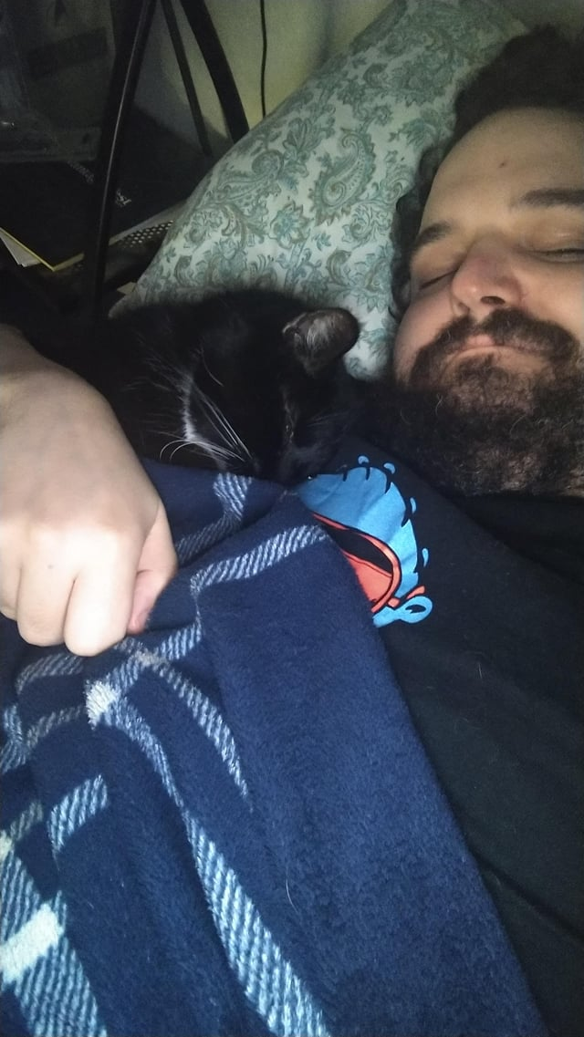 Cheezburger Image 10615271424