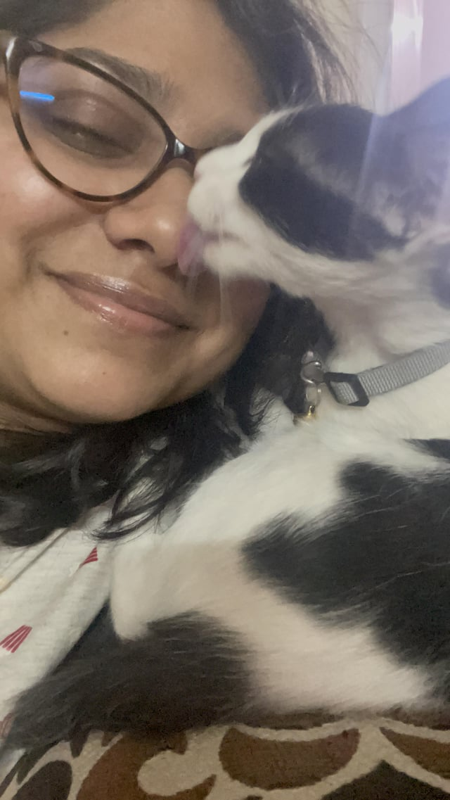 Cheezburger Image 10615272192