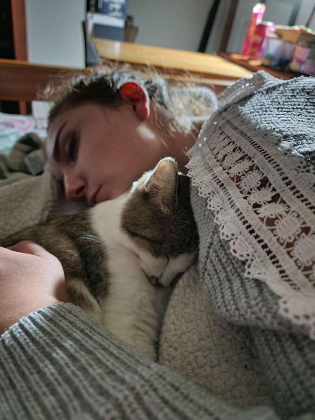 Cheezburger Image 10615272448