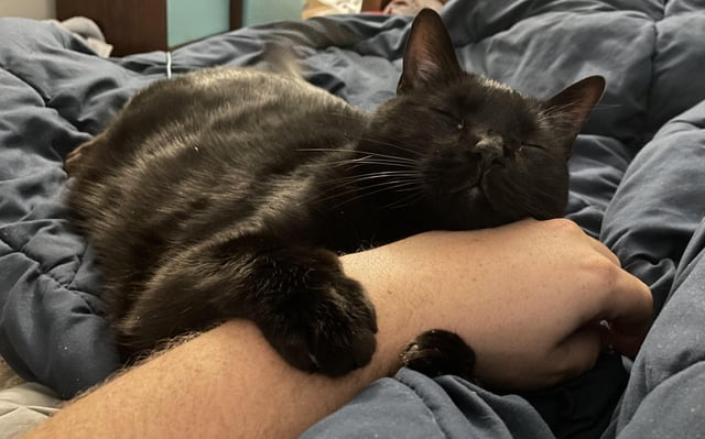 Cheezburger Image 10615272960