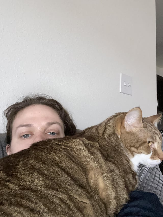 Cheezburger Image 10615273472