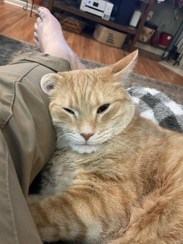 Cheezburger Image 10615273728