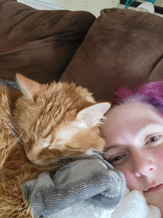 Cheezburger Image 10615274496