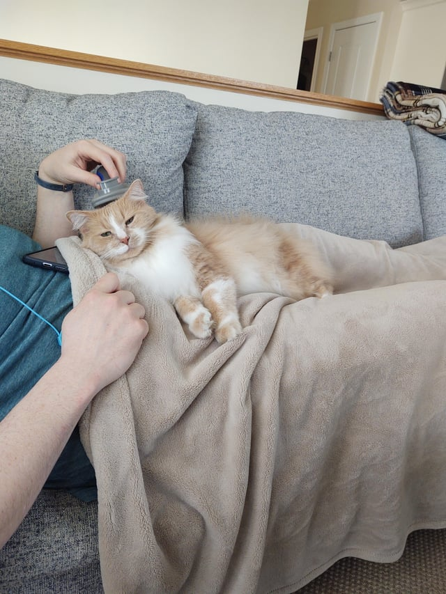 Cheezburger Image 10615275008